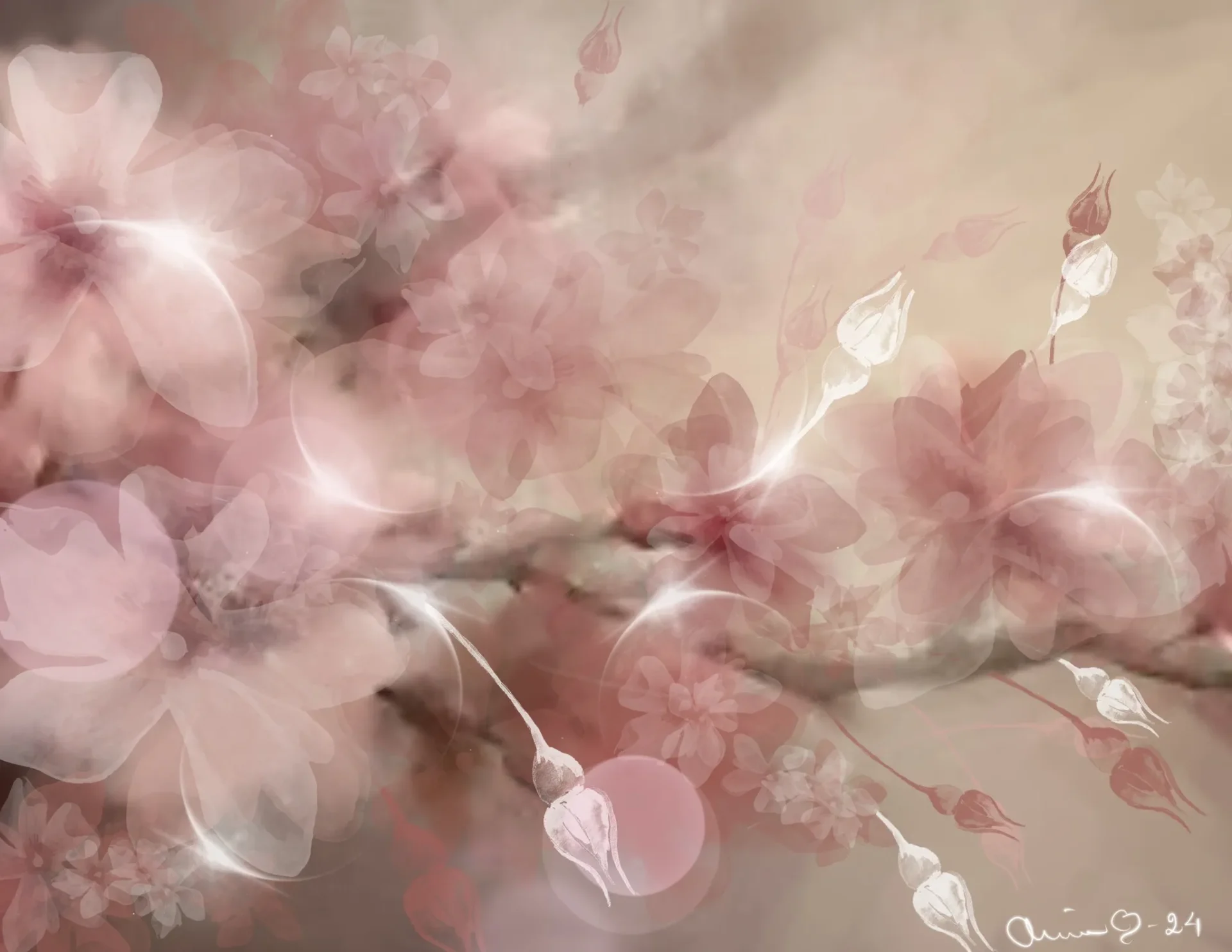 Soft pink cherry blossoms